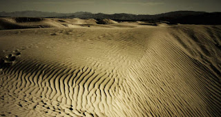 Dunas de Bilbao 3.jpg