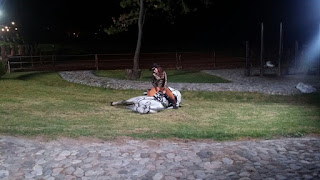 IMG-20160113-WA0007.jpg