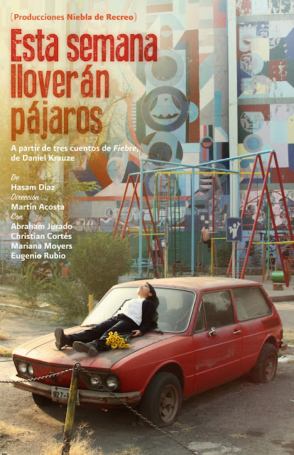 Póster Esta semana lloverán pájaros.jpg