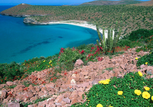 BAJA-CALIFORNIA-SUR.jpg