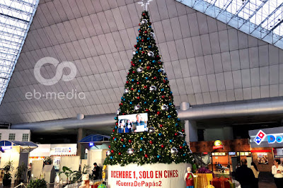 imagen_blog_arbol.jpg
