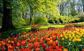 Primavera.jpg