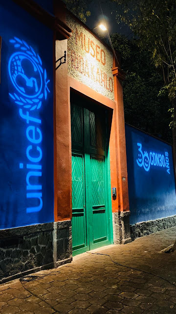 CasaAzul2019.jpg