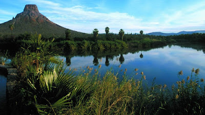 x25.jpg