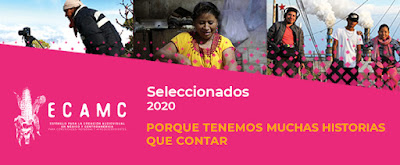 Header-ECAMC-Resultados.jpg