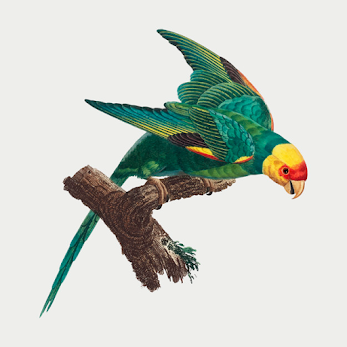 descarga (23).png