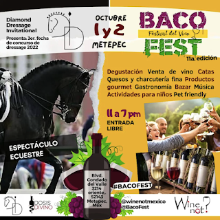 descarga (1).png