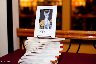 Libro Xolo_LuisQuiroz.jpg