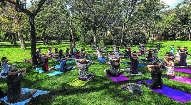 encuentra-equilibrio-en-el-meditaton-964822664.png