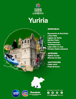 INFOGRAFÍA YURIRIA.jpg