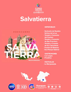 INFOGRAFÍAS SALVATIERRA.jpg