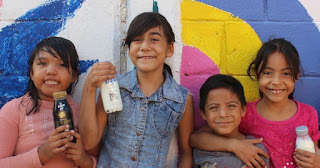 Fundación Lala_N3.jpg