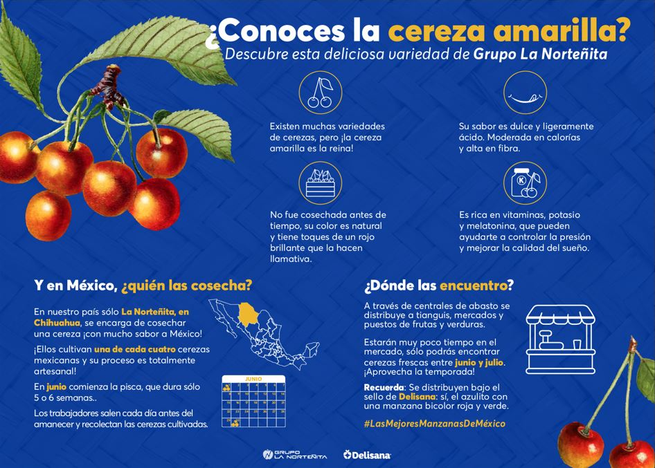 La Norteñita_pisca cerezas baja5.JPG