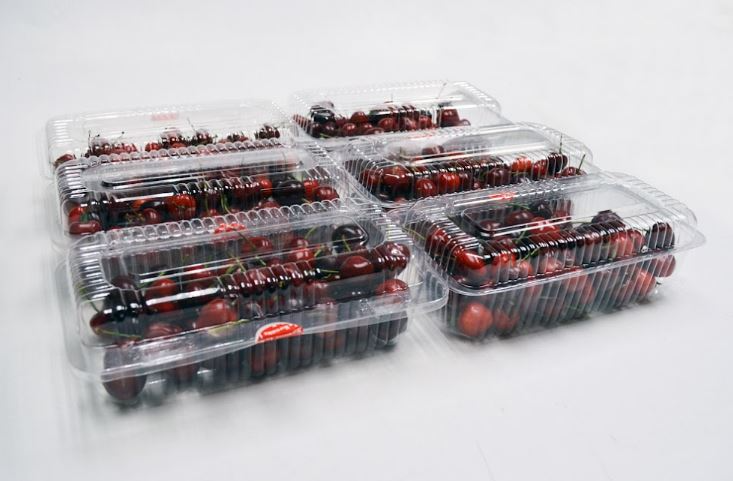 La Norteñita_pisca cerezas baja4.JPG