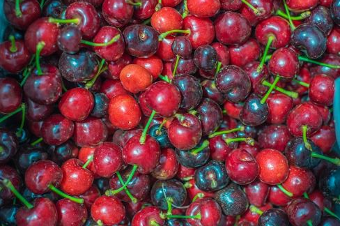La Norteñita_pisca cerezas baja2.JPG